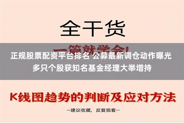 正规股票配资平台排名 公募最新调仓动作曝光 多只个股获知名基金经理大举增持