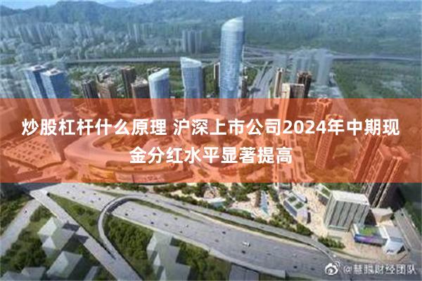 炒股杠杆什么原理 沪深上市公司2024年中期现金分红水平显著提高