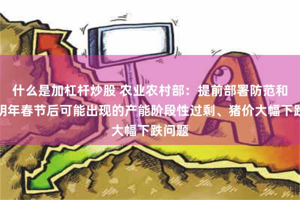 什么是加杠杆炒股 农业农村部：提前部署防范和应对明年春节后可能出现的产能阶段性过剩、猪价大幅下跌问题