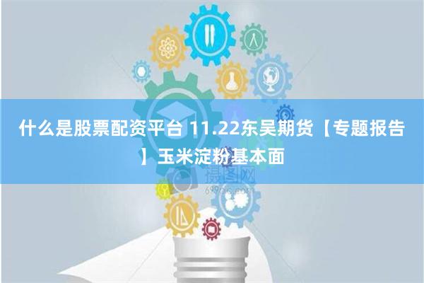 什么是股票配资平台 11.22东吴期货【专题报告】玉米淀粉基本面