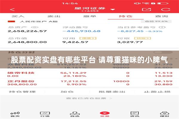 股票配资实盘有哪些平台 请尊重猫咪的小脾气