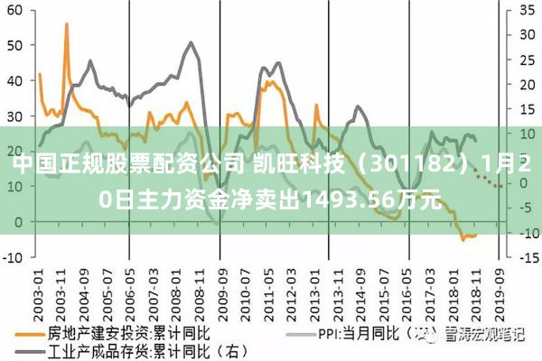 中国正规股票配资公司 凯旺科技（301182）1月20日主力资金净卖出1493.56万元