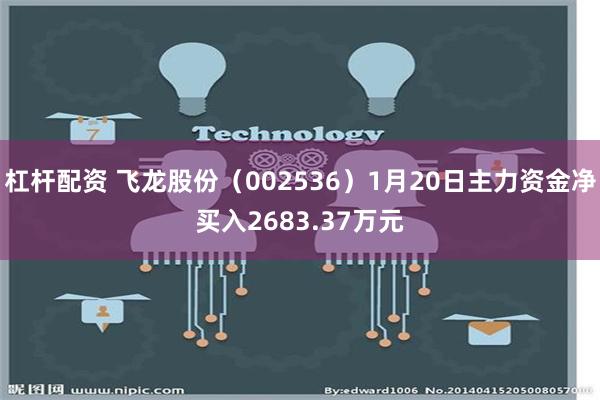 杠杆配资 飞龙股份（002536）1月20日主力资金净买入2683.37万元